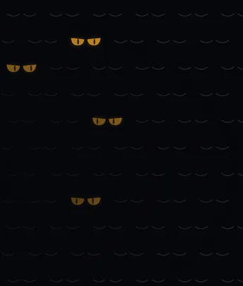 Eyes in the dark
