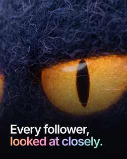 Campaign post: “Every follower, looked at closely.”